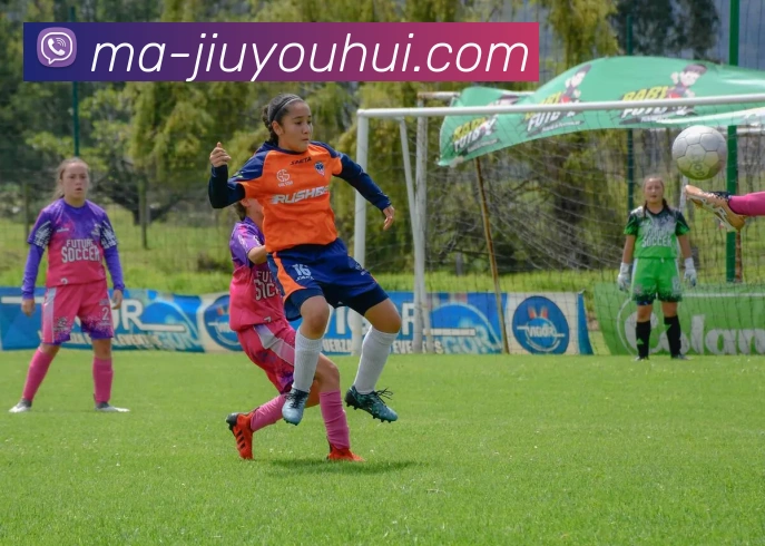 多媒体互动体验